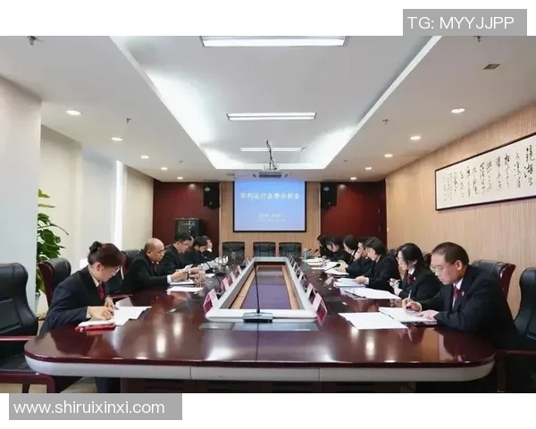 上海羽毛球队在全国锦标赛中的团队协作表现分析与点评