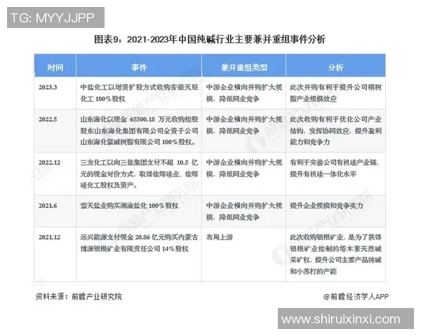 上海羽毛球队在杯赛中的团队协作表现分析与启示